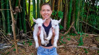 UNEXPECTED TWIN GOATS PLUS MAJOR BUILD FAIL ON THE ABANDONED JUNGLE PROPERTY! by Sailing Good, Bad, and Ugly 116,688 views 1 month ago 28 minutes