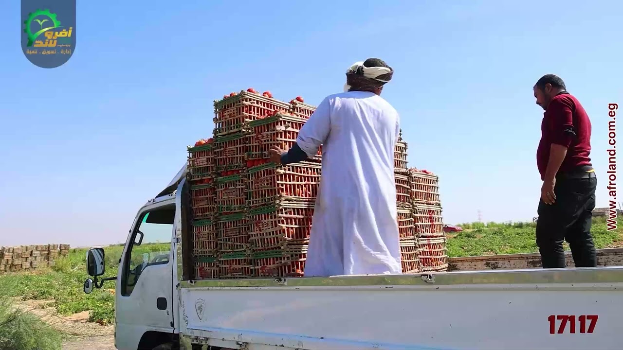 شرح مفصل عن الاستثمار والتملك لجميع مشاريع شركة افرولاند  للإستفسار والتعاقد01011444497