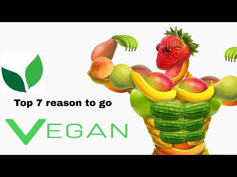 Top 7 reasons to go vegan 🌱 विगन बनने के ७ प्रमुख कारण
