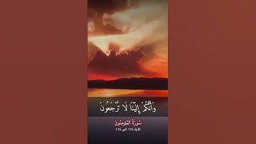 سورة المؤمنون الآية ١١٥ الى ١١٦
