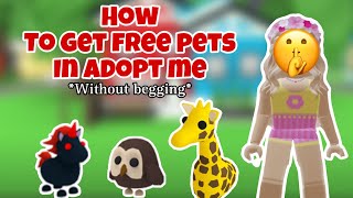 How to get free pets in adopt me (without scamming or begging) ✨❤️
