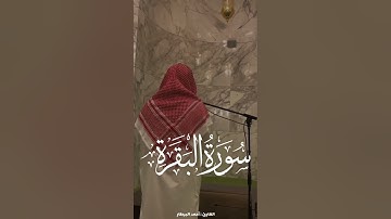 ﴿أَمۡ كُنتُمۡ شُهَدَاۤءَ إِذۡ حَضَرَ یَعۡقُوبَ﴾ تلاوة للقارئ أحمد البيطار