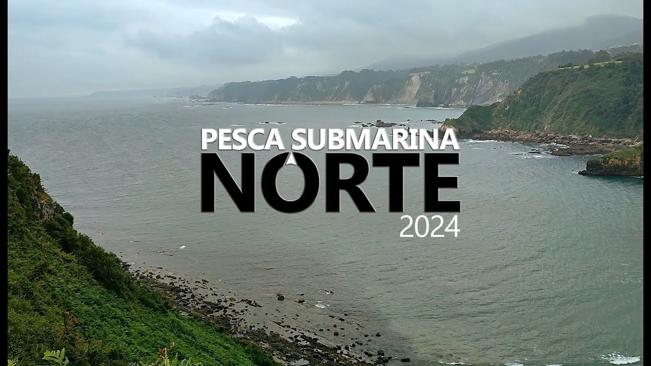 Pesca Submarina Norte 2024
