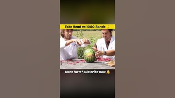 1000 Rubber Bands vs Fake Human Head 💥 | Who will win #facts #shorts #experiments #sciencefacts