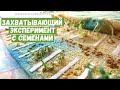 Хватит уже спорить! Насколько хороши семена 19 сортов перца с разным сроком годности?