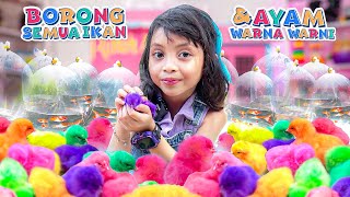 LEIKA BORONG SEMUA IKAN & AYAM WARNA WARNI SAMPAI HABIS DRAMA PARODI TOMPEL BERENANG BARENG IKAN