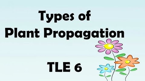 #plant propagation #TLE 6
