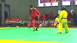 Story wa pencak silat tapak suci