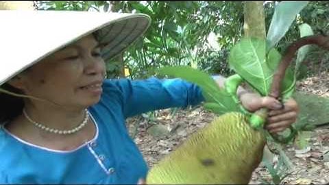 Đất và người Tiên Phước.