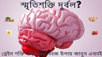 “স্মৃতিশক্তি দুর্বল? ব্রেইন শক্তি বাড়ানোর সহজ উপায় জানুন এখনই! Brain Power Increase Tips” #trending