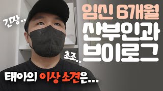 📝초음파용어 총정리!!│임신 6개월 산부인과 브이로그