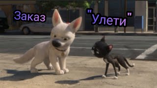 картинка: Вольт: Клип 