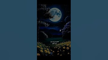 سوره/النمل القارئ/ياسر الدوسري #الشيخ_ياسر_الدوسري #القرآن_الكريم