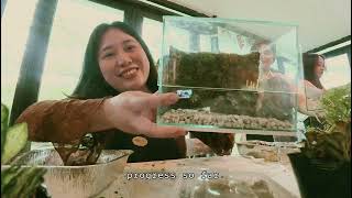 Soil Searching | A Terrarium Workshop 🪴