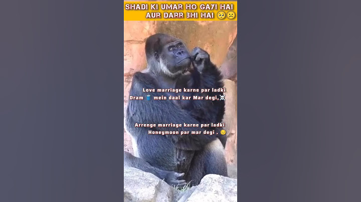 shadi ❌ Barbaadi ✔️ | Shadi ki umar sath is bat ka bhi Darr #funny #hilariousfails #ytshorts #memes