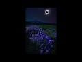 Trap Type Beat - "ECLIPSE" | Type Beat | Freestyle Beat | Free Instrumental 2024