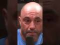 Joe Rogan sad puppy story..😪