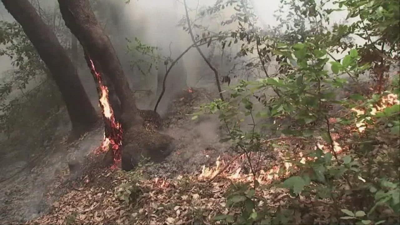 Wintu Fire in Solano County: Maps, evacuations, updates | abc10.com