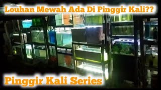 LOUHAN MEWAH ADA DI PINGGIR KALI???? pinggir kali series!?? ardie louhan tangerang