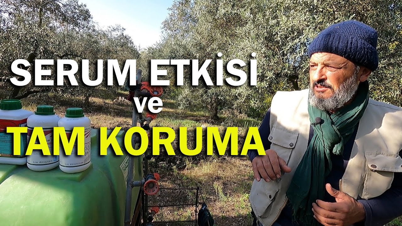 Hasat Sonrası Bor - Çinko - Potasyum ve Bakır Uygulaması