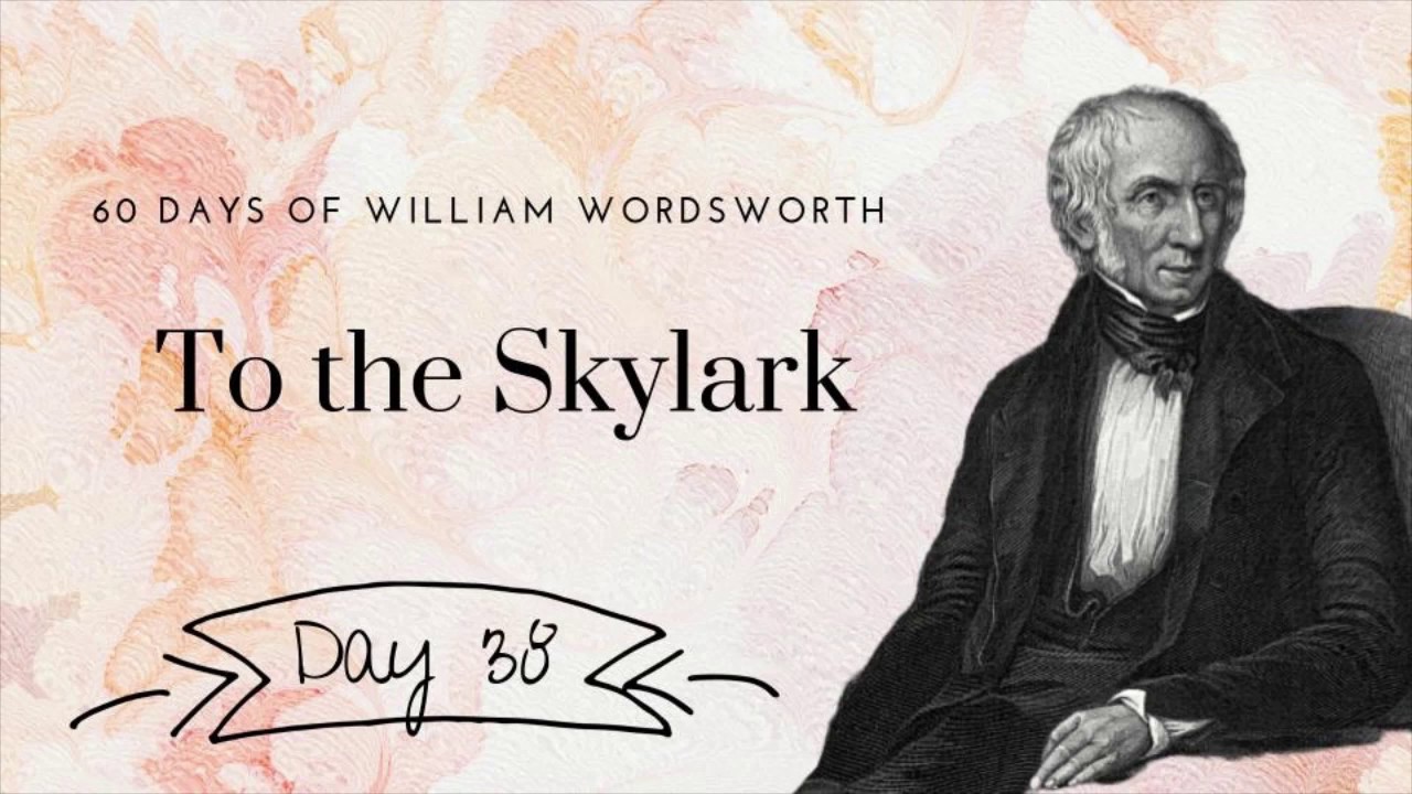 To the Skylark by William Wordsworth, Day 38 poetry reading - YouTube