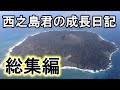 海中噴火継続中！？最新情報とこれまでの噴火を一挙にまとめてみた。Nishinoshima volcano eruption 【西之島】