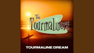 PDF Sample LG guitar tab & chords by The Tourmaliners - Topic.