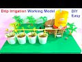 drip irrigation working model science fair project | DIY at home | howtofunda