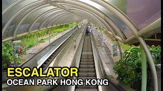Travel from marine world to adventure land on the world's second
longest escalator. rest your legs this 225 meter long journey and take
in great views of ...