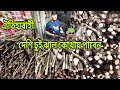 দেশি চুই ঝাল পাইকারি দামে কিনুন, সারাদেশ ক্যাশ অন ডেলিভারি, chui jhal price in Bangladesh, chui jhal