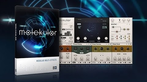 MOLEKULAR Native Instruments - First Look