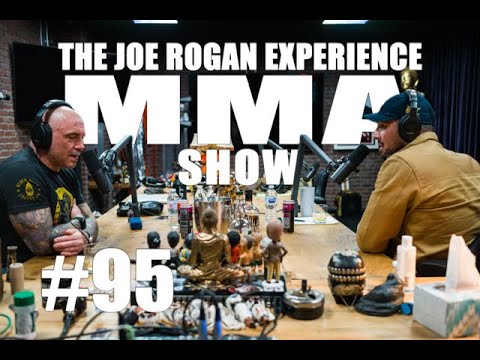 JRE MMA Show #95 with Brendan Schaub