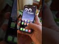 iPhone 13 on iOS 17.3 RC