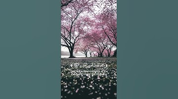 تلاوه من سورة يس القارئ [عبدالله القرني ]#القرآن