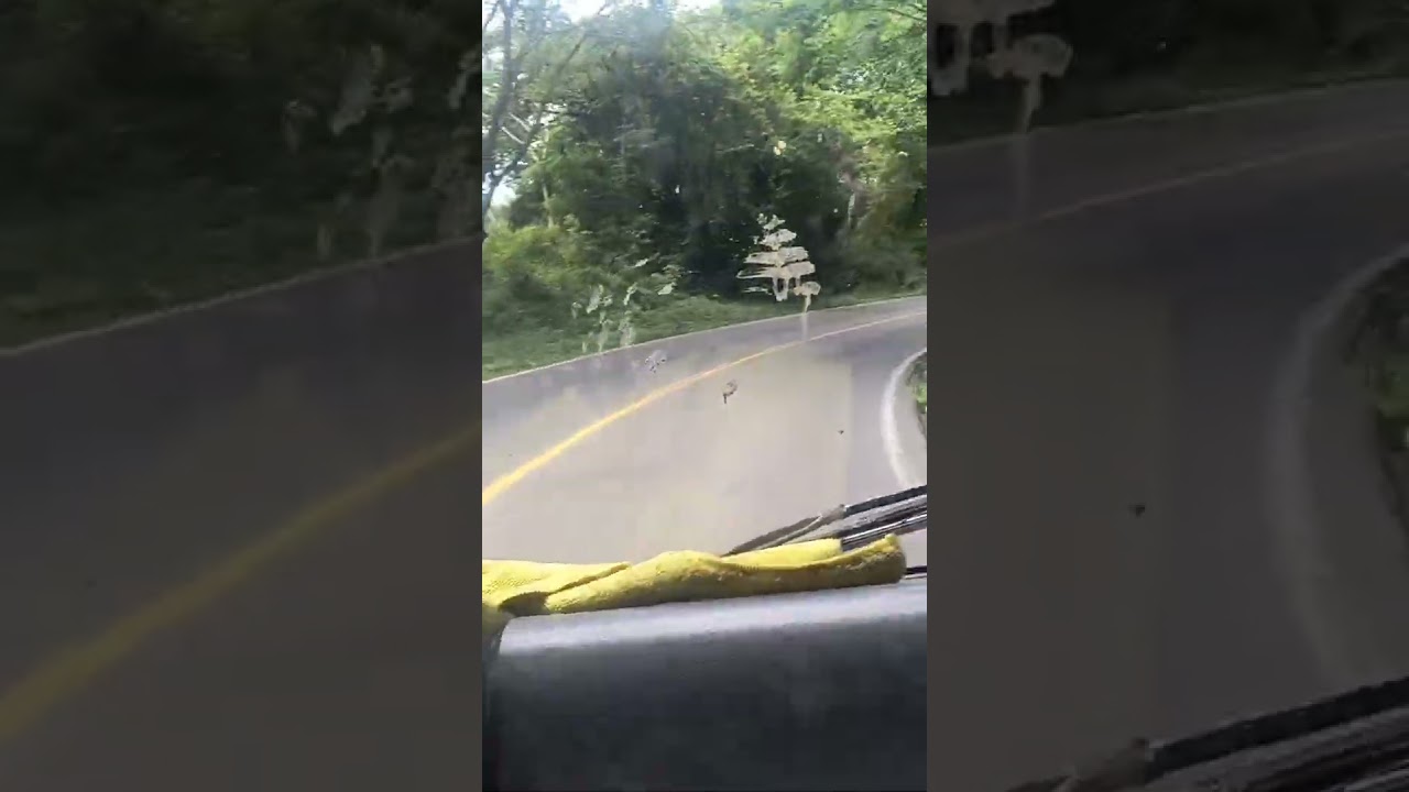 ruta de reparto la más bonita llena de selvas verdes y sus pueblitos entre la selva