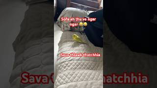 Thlawh Sawn A Tumlo Reng Reng