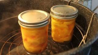 Canning Peaches ~ Water Bath Canner by The Cook Family Homestead 252 views 7 months ago 6 minutes, 38 seconds