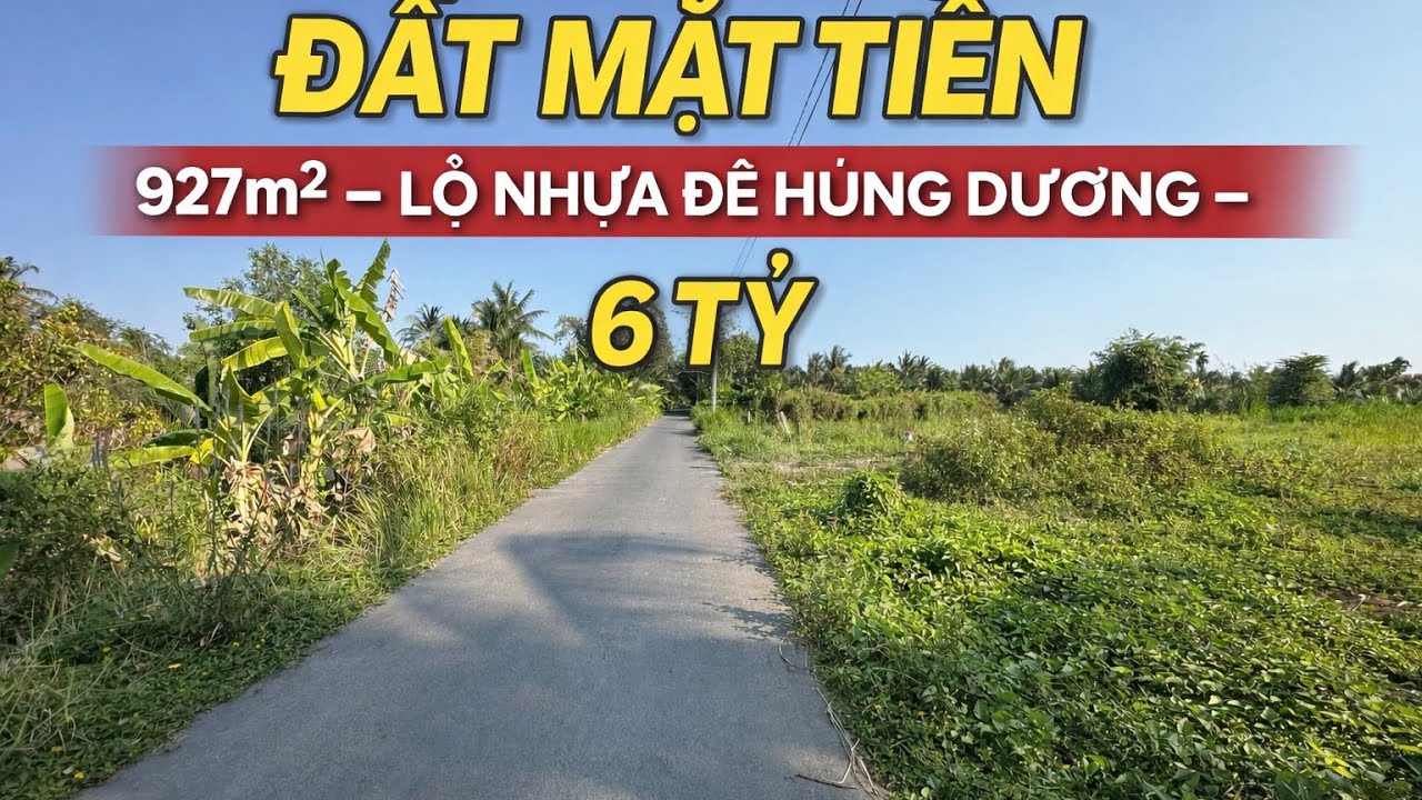 Tập 1970 Đất Mặt Tiền Đường Đê Hùng Vương Thành Phố Mỹ Tho