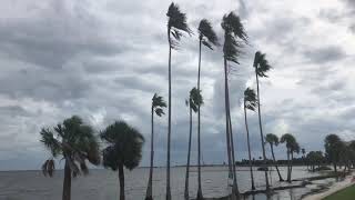 Hurricane Michael Storm Surge High Tide Floods Beach Tampa Bay North Shore Park Windy Cloudy