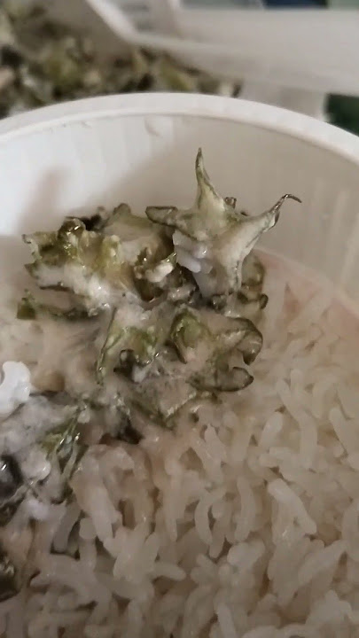 #cover #food #trending #viralmusic #viral #viralsong #foodie