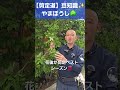 剪定ベストシーズン‼️花芽が動くまでの貴重な期間になります　 #剪定方法 #庭木の管理 #庭作業 #庭木の手入れ #庭木の剪定 #やまぼうし #花咲き