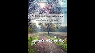 تلاوة آيات من سورة النحل - Surah An-Nahl #quran #قرآن
