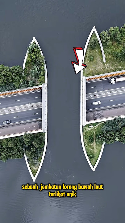 the most unique bridge in the world #ost #funny #dalimsharma #amirkhanvoice #jaidmeel  #story