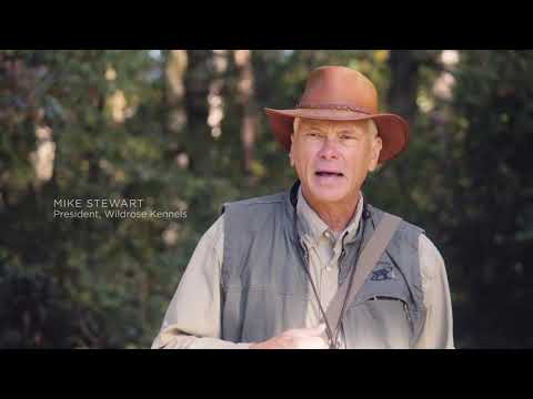 DU TV Duck Dog Ep 3 : Long-Short Drill