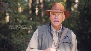 DU TV Duck Dog Ep 3 : Long-Short Drill