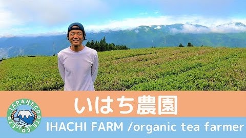 Japanese organic tea producers: Ihachi Farm, heirs to a 15-generation tradition (English Subs).