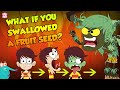 What If You Swallow A Fruit Seed? | Plant Growing In Stomach | The Dr Binocs Show | Peekaboo Kidz
