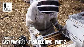 Easy Way to Split 50 Bee Hives (Part 2 of 2) - The Bush Bee Man