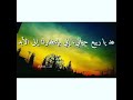 عد يا ربيع حياتي يا مهدي انا بإنتظارك
