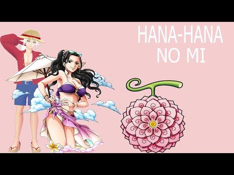 Nico Robin's Insane Devil Fruit Powers Explained!, Hana Hana no Mi